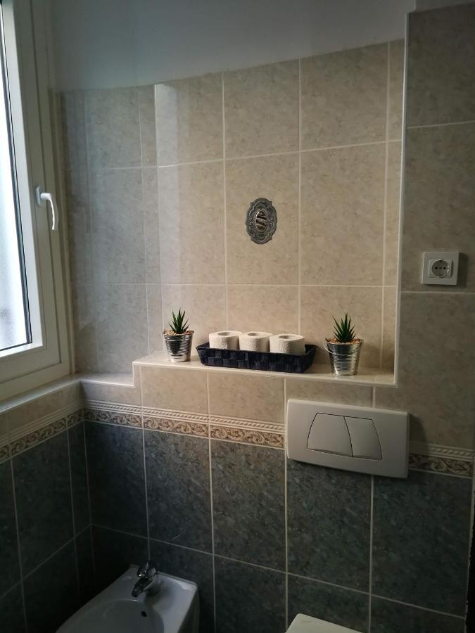 קופר Apartma Rozi מראה חיצוני תמונה